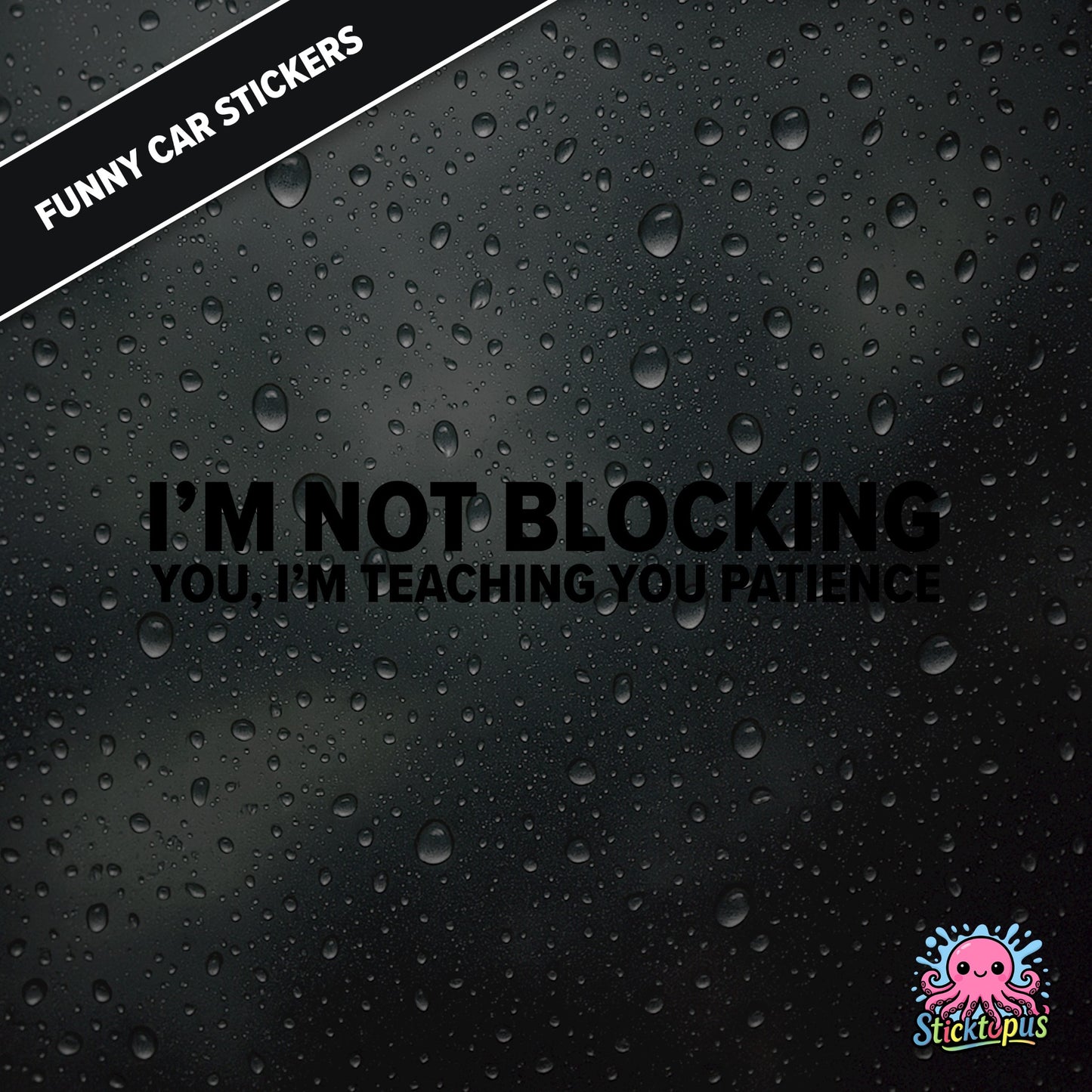 I’m Not Blocking You, I’m Teaching You Patience — dry blocking sticker in black text, surreal life lesson.