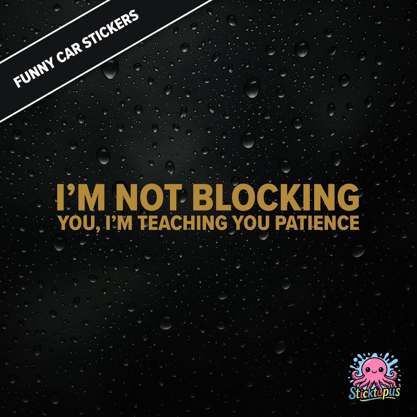 I’m Not Blocking You, I’m Teaching You Patience — dry blocking sticker in gold text, surreal life lesson.