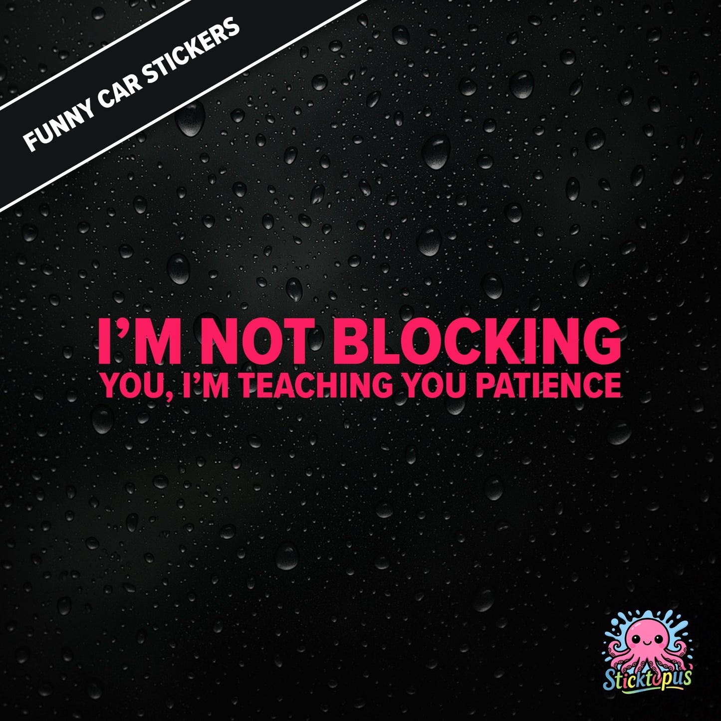 I’m Not Blocking You, I’m Teaching You Patience — dry blocking sticker in pink text, surreal life lesson.