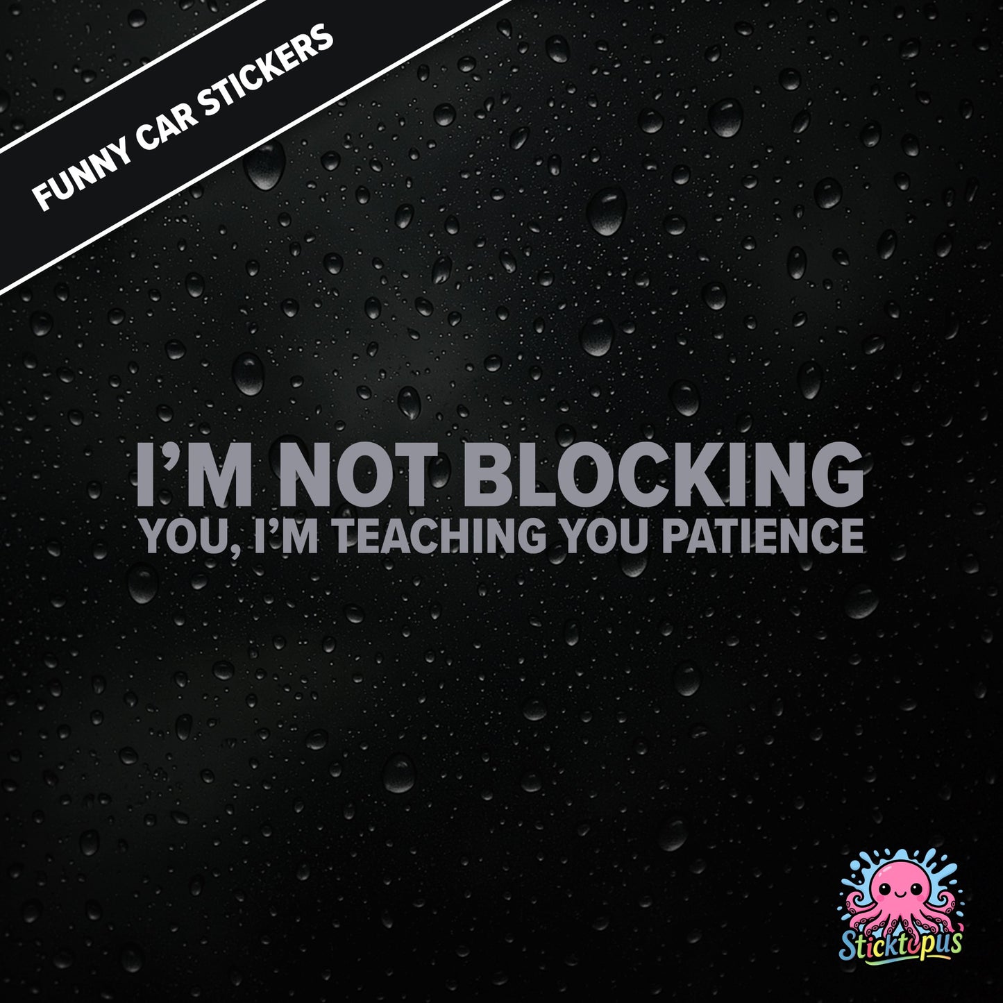 I’m Not Blocking You, I’m Teaching You Patience — dry blocking sticker in silver text, surreal life lesson.