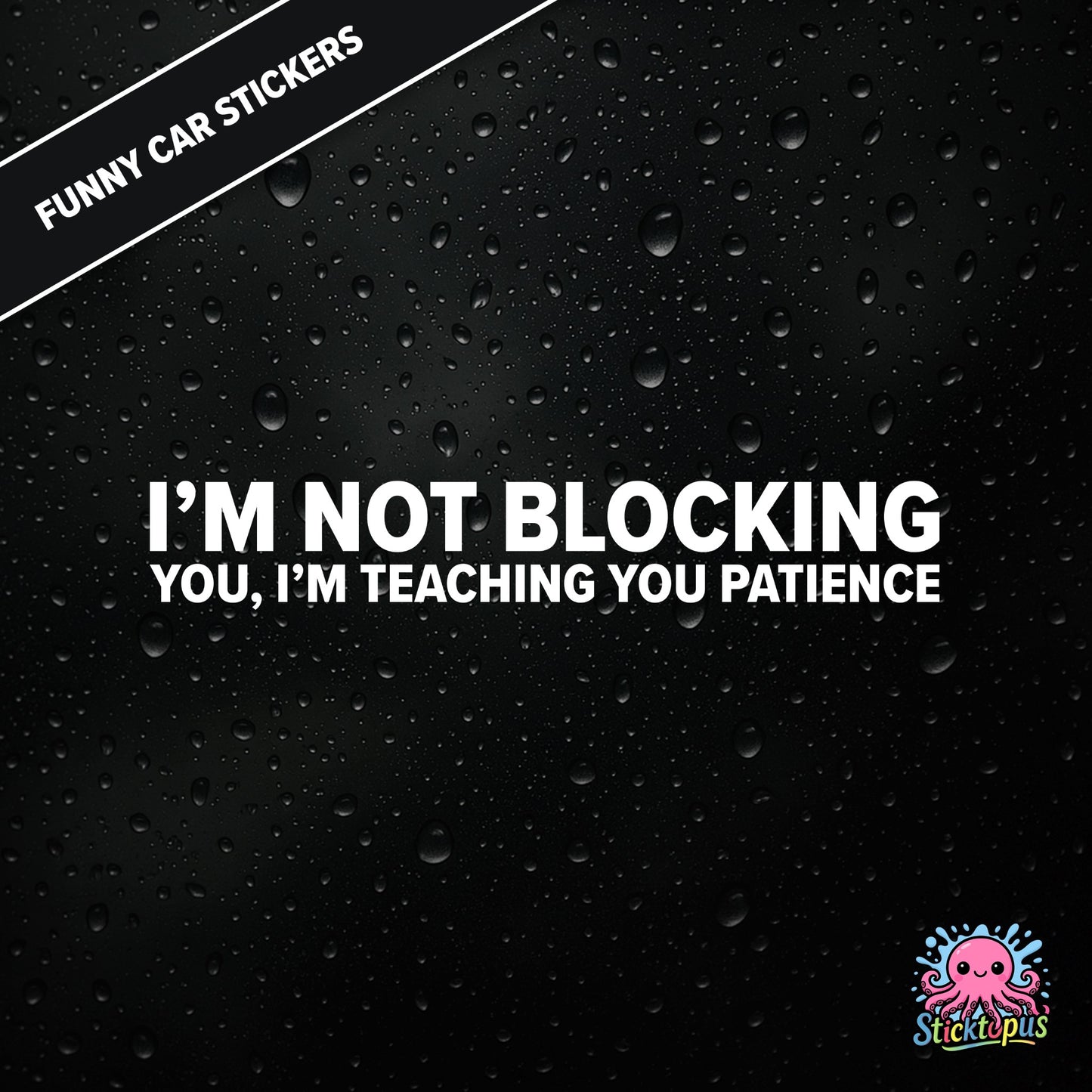 I’m Not Blocking You, I’m Teaching You Patience — dry blocking sticker in white text, surreal life lesson.