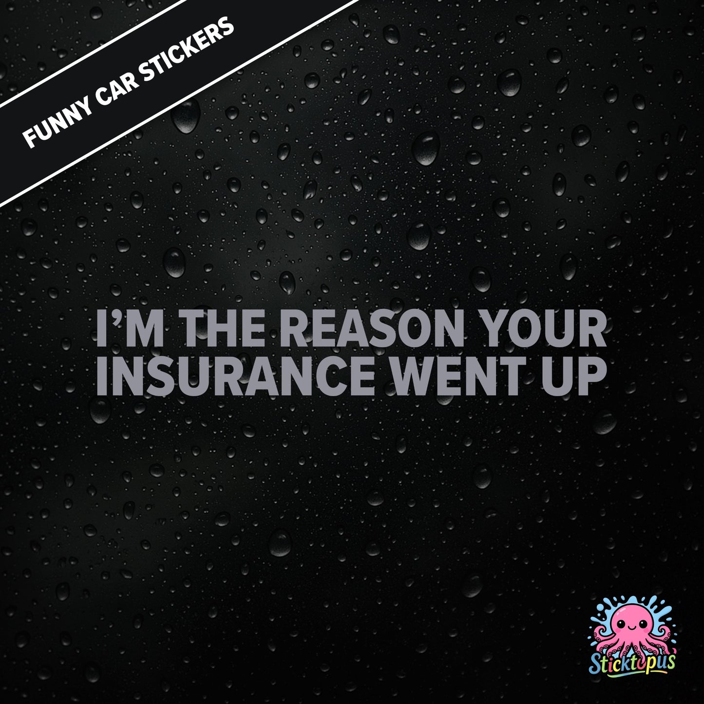 I’m The Reason Your Insurance Went Up — self-aware insurance sticker in silver text, dry and cheeky.