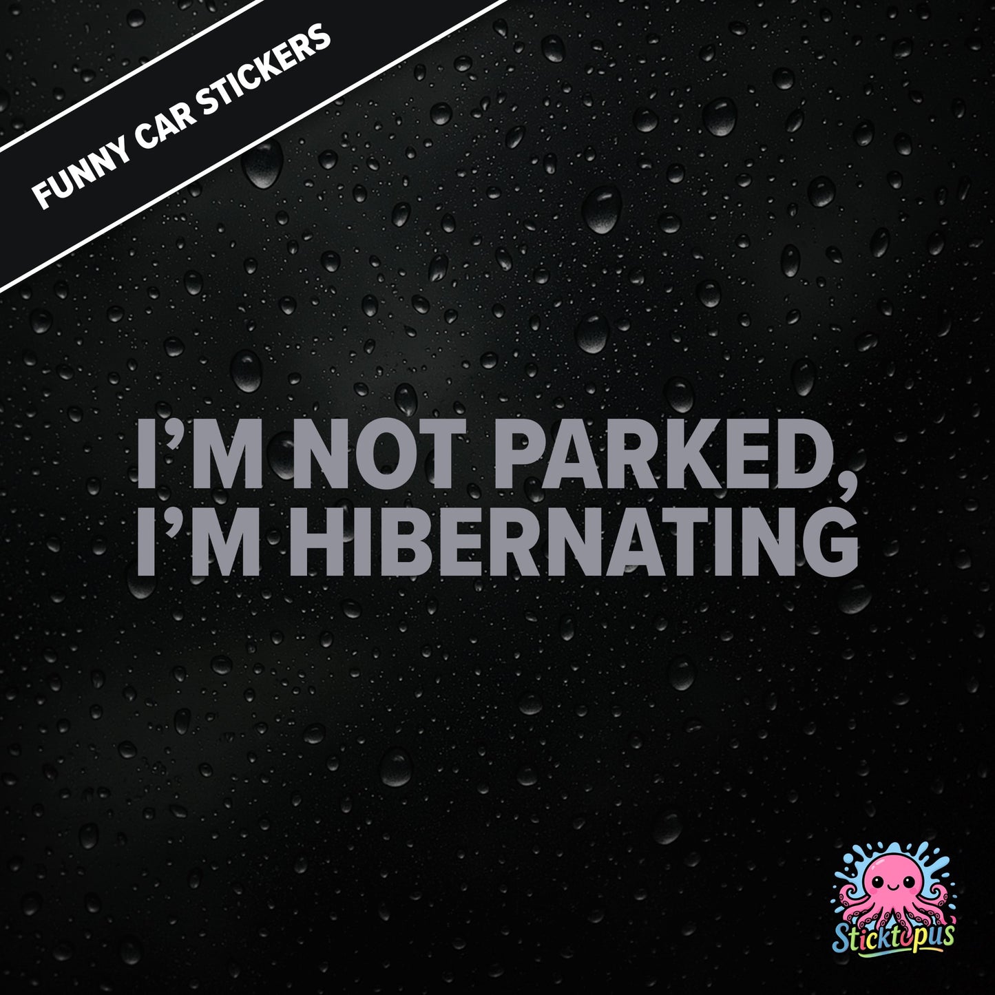I’m Not Parked, I’m Hibernating — sleepy parking excuse sticker in silver text, absurd and passive.