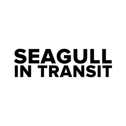 Brighton – SEAGULL IN TRANSIT Sticker – Car Window Decal – black sticker design on white background