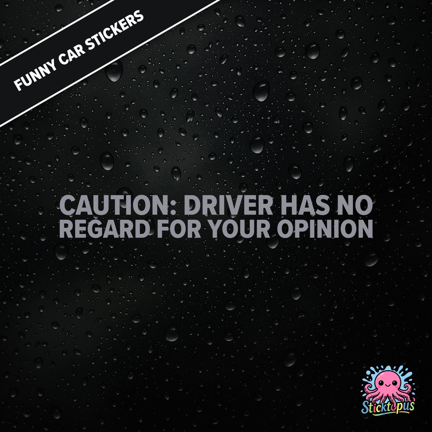 Caution: Driver Has No Regard For Your Opinion — rude caution sticker in silver text, bold and dismissive.