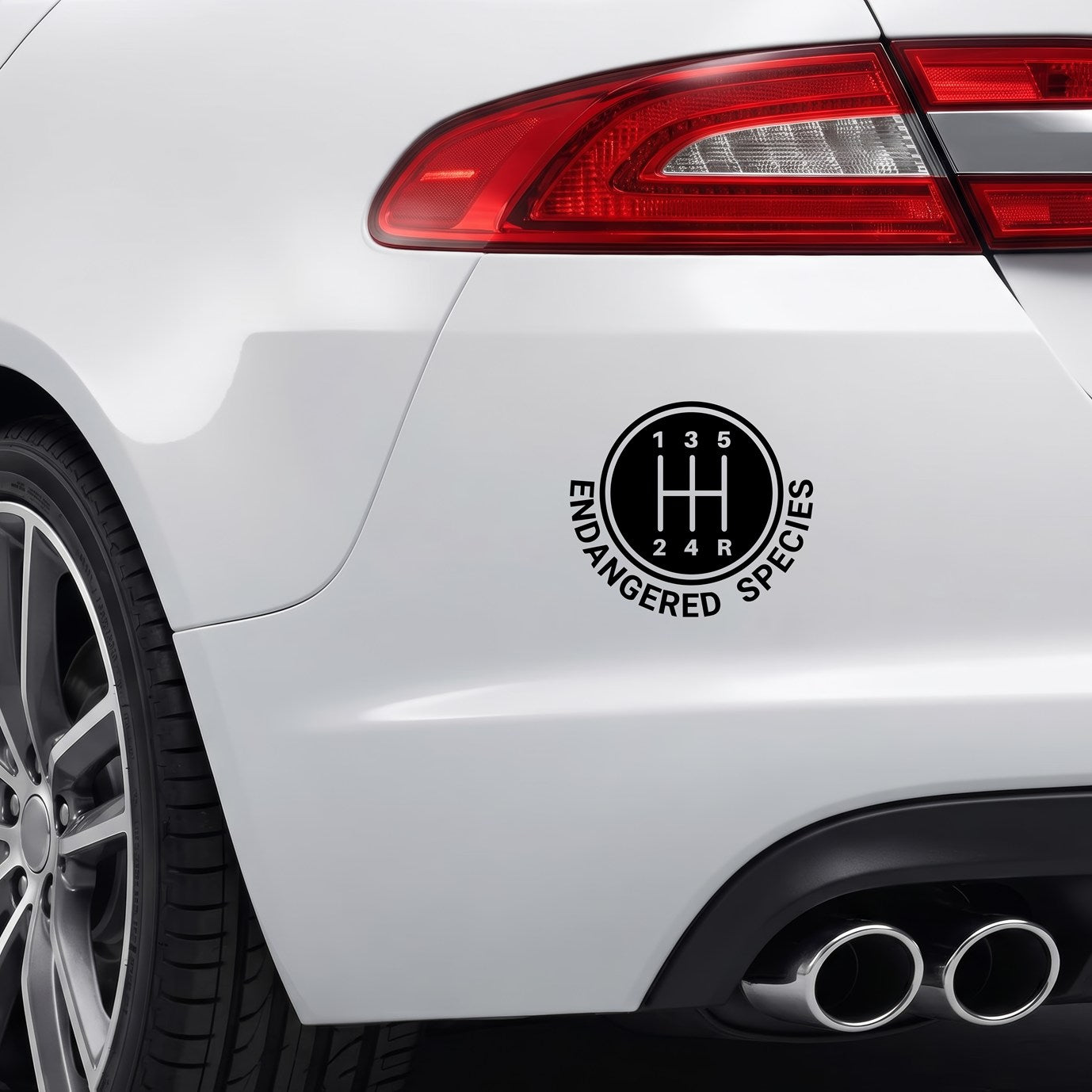 Black Endangered Species vinyl sticker applied to a car rear bumper.