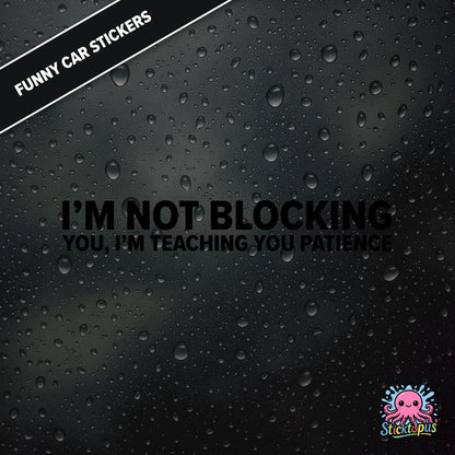 I’m Not Blocking You, I’m Teaching You Patience — dry blocking sticker in black text, surreal life lesson.
