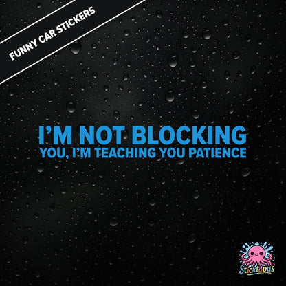 I’m Not Blocking You, I’m Teaching You Patience — dry blocking sticker in blue text, surreal life lesson.