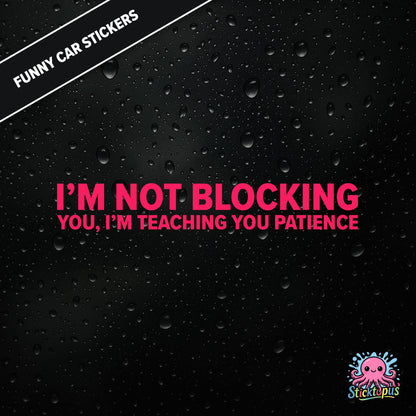 I’m Not Blocking You, I’m Teaching You Patience — dry blocking sticker in pink text, surreal life lesson.