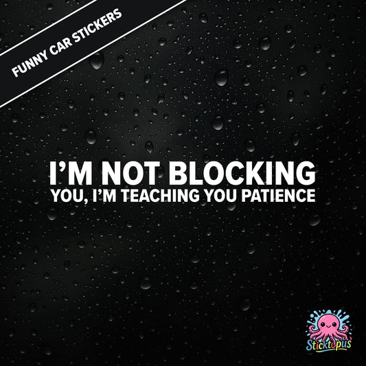 I’m Not Blocking You, I’m Teaching You Patience — dry blocking sticker in white text, surreal life lesson.