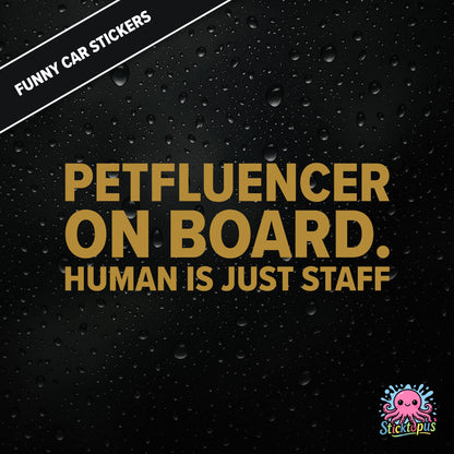 Petfluencer On Board. Human Is Just Staff — animal-themed influencer sticker in gold text, surreal pet logic.